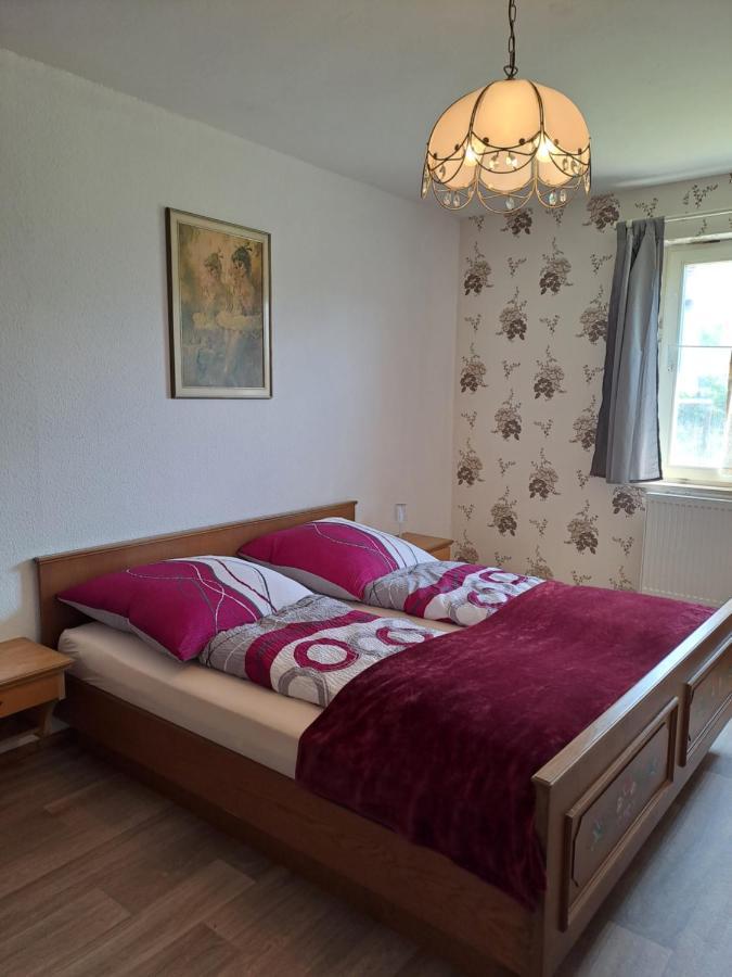Keller'S Ferienwohnung An Der Saale Schwarzenbach an der Saale ภายนอก รูปภาพ